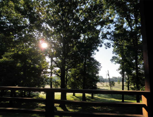 Hypnosis: A Powerful Tool for Relieving Guilt and Stress in Caregiving